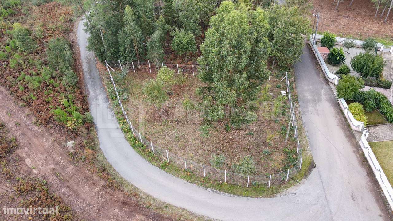 Terreno P/Construção no Campo - Grande imagem: 3/8