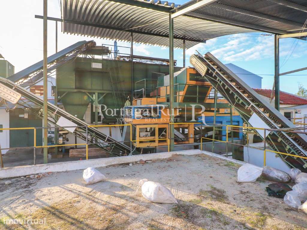 Unidade Industrial de Produção de Azeite & Elevado Potencial Produtivo-42