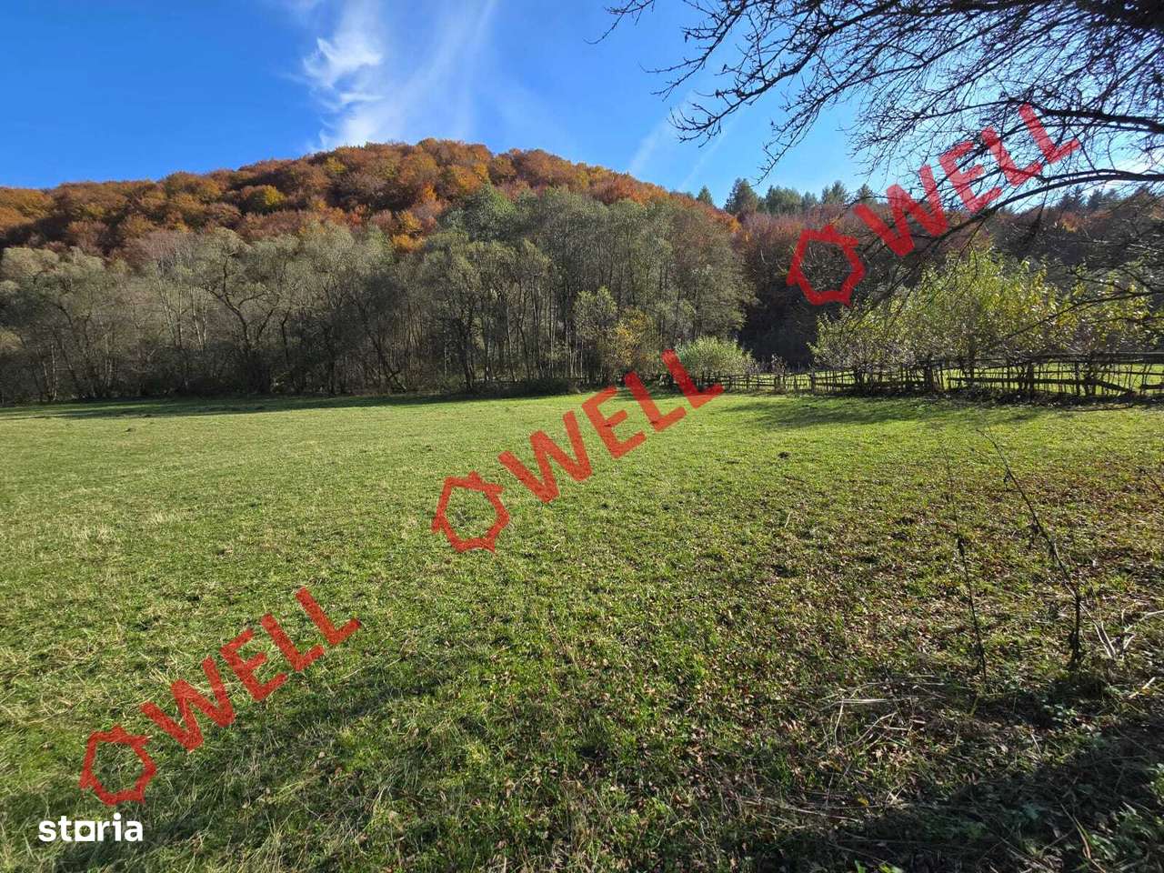 Casă cu istorie și natură de vânzare în Vama Buzăului, sat Acriș! - Imagine principală: 4/17