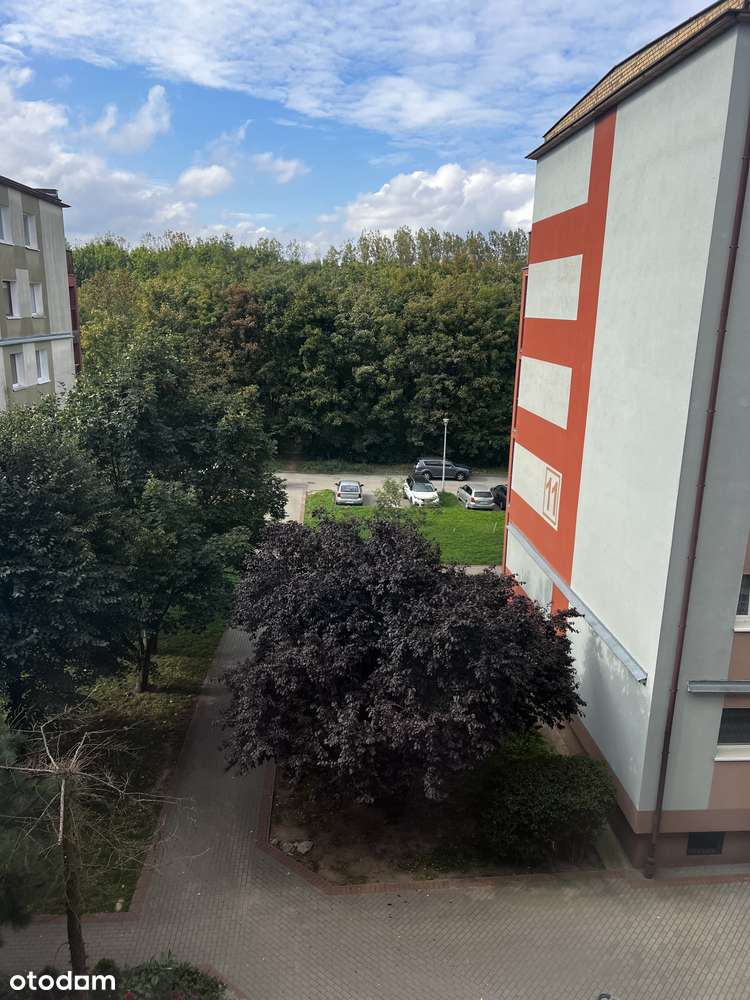 4 pokoje blisko zieleni Koziegłowy - możliwa zamiana na mniejsze-9