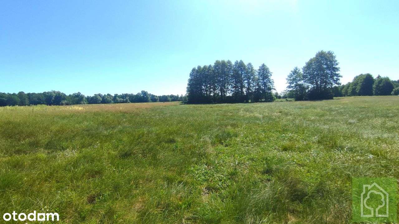 Działka, 3 001 m², Gutowo-5