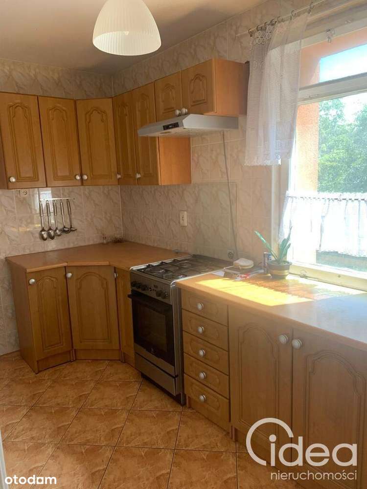 Parter 4 pok. osobna kuchnia, okna na 3 strony - Pełny obrazek: 3/10