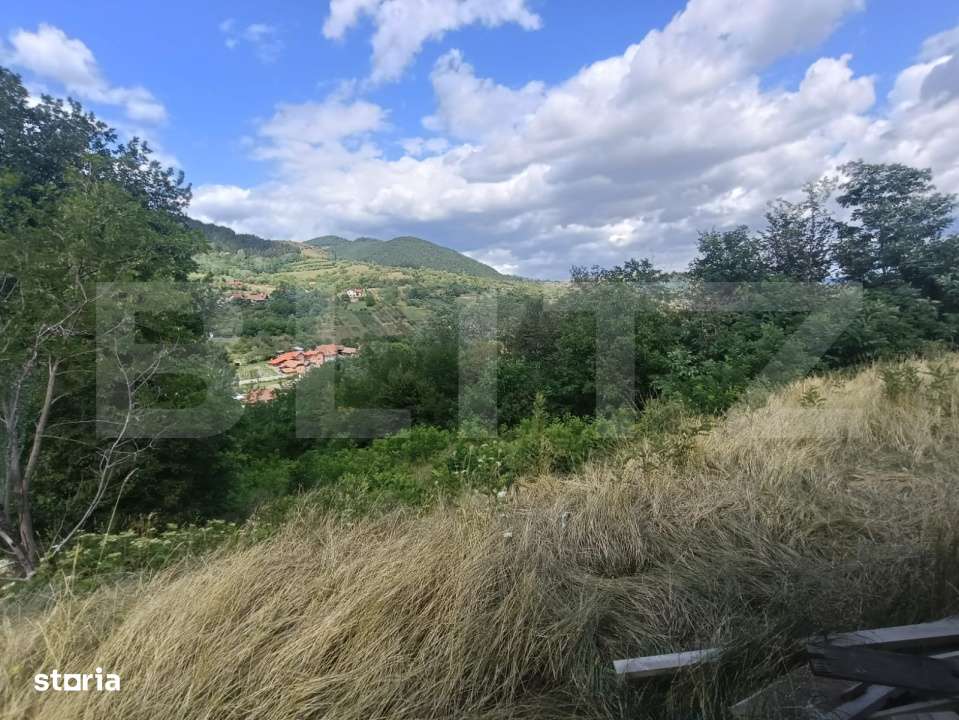 Cabana la rosu 150 mp cu teren de 3500 mp in Ampoita - Imagine principală: 4/5