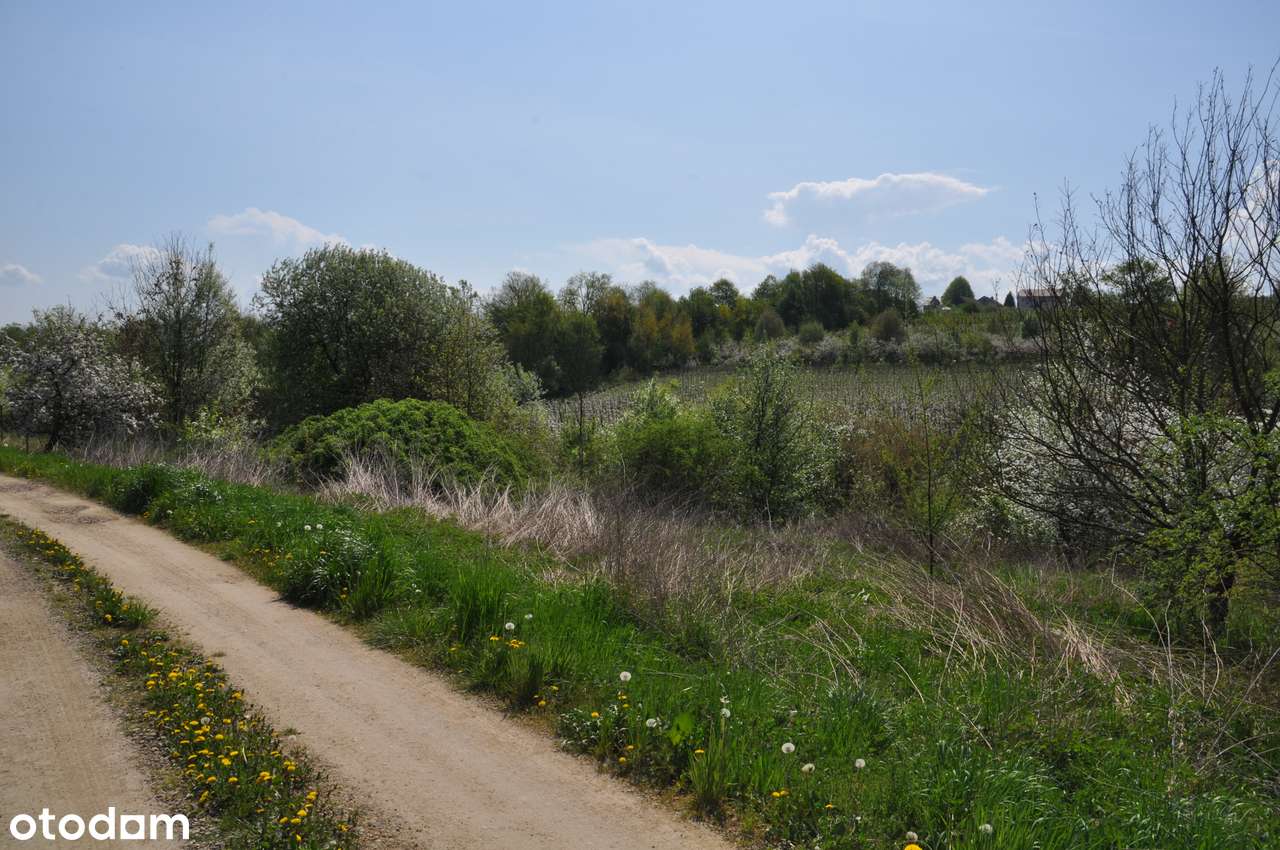 Komorniki - działka pod zabudowę-5