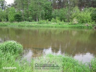 Budowlana częściowo zalesiona nad Liwcem