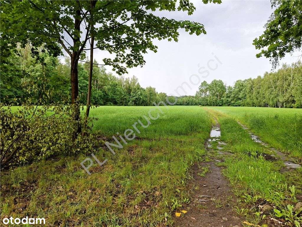 Urocze miejsce do zamieszkania - Pełny obrazek: 5/8