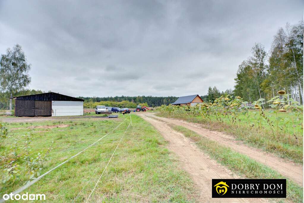 Dom 63 m² + działka 1,5 ha + staw - Pełny obrazek: 5/9