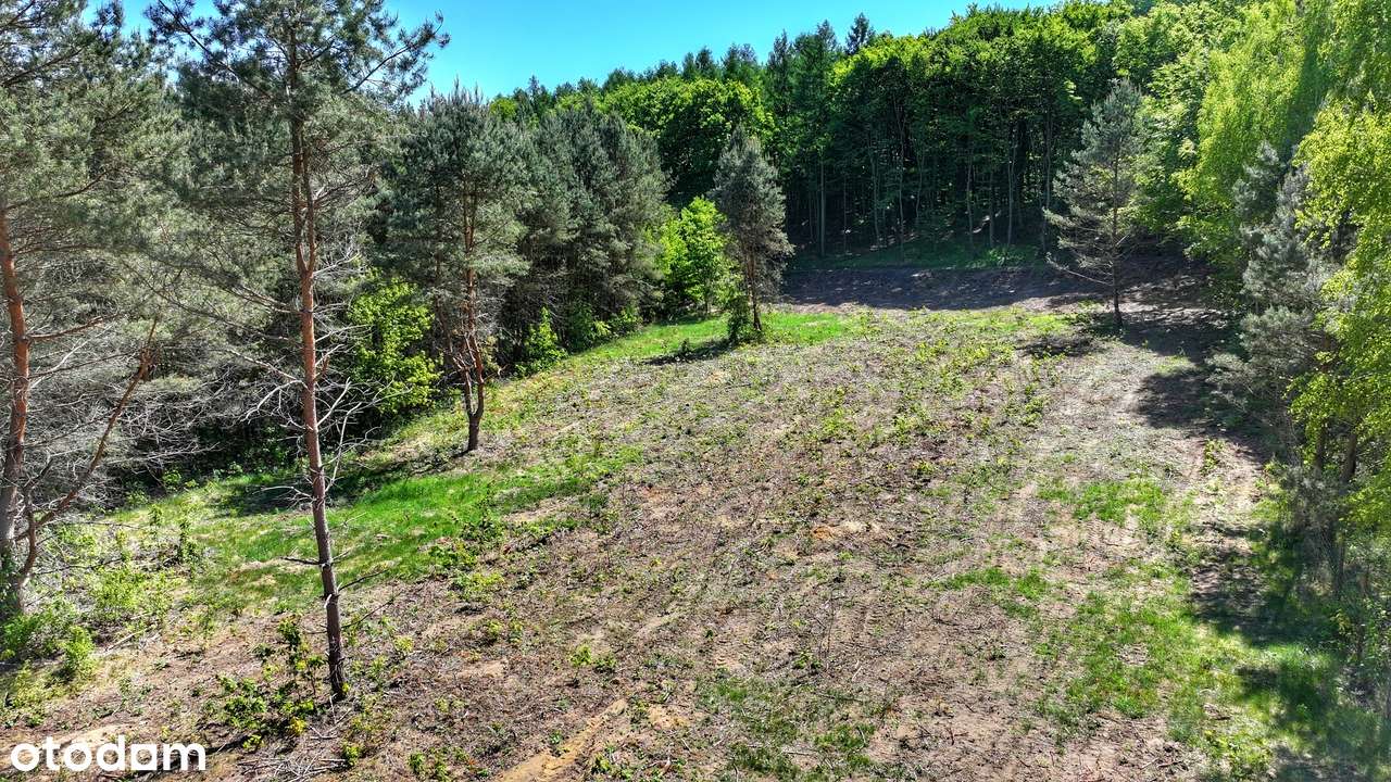 Działki budowalne w Krzynce przy lesie w spokojnej okolicy-4