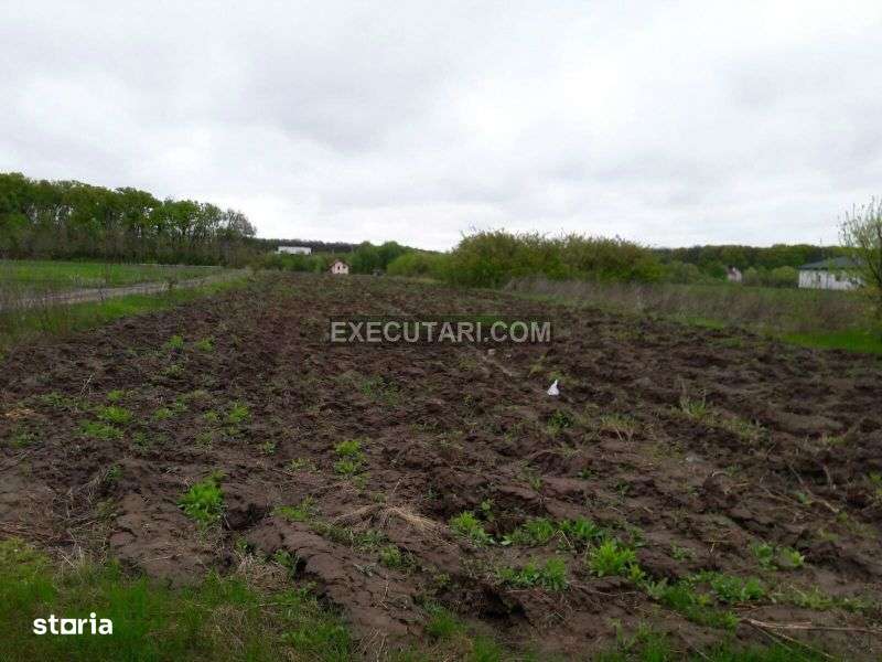 SNAGOV SAT - Teren- 2410m² - Toate utilitatile - Zona de Vile - Imagine principală: 5/8