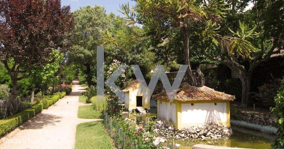 Investimento Prédio para Habitação | Centro Histórico Abrantes - Grande imagem: 4/7