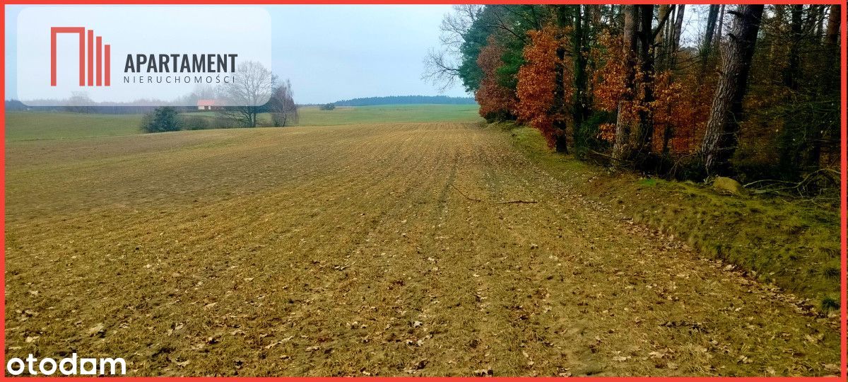 Duże działki do podziału lub inwestycji !!!