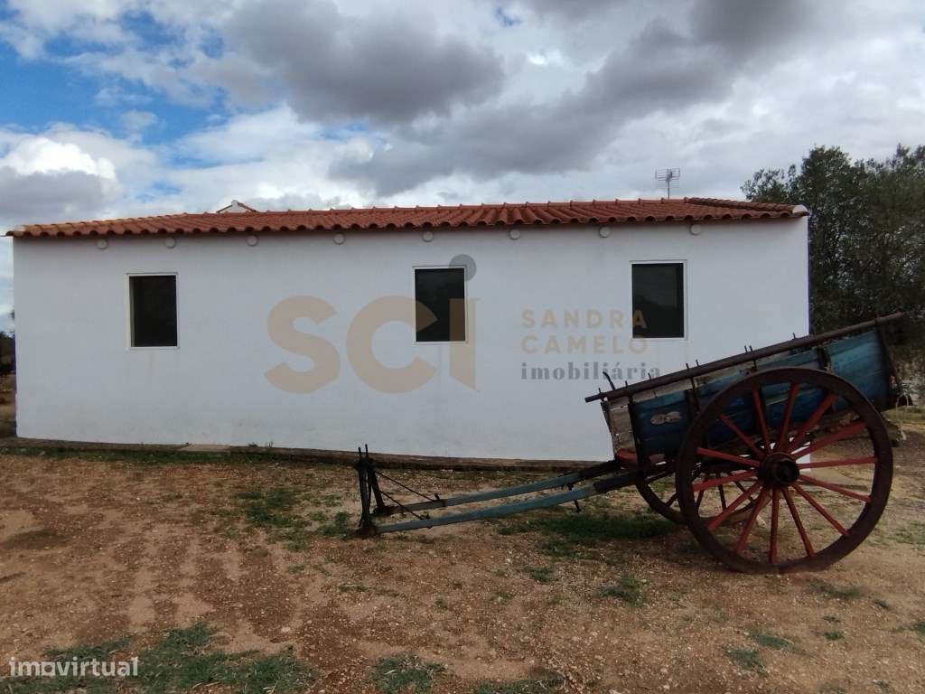 Terreno rústico com monte alentejano - Aproveite esta oportunidade ... - Grande imagem: 4/25