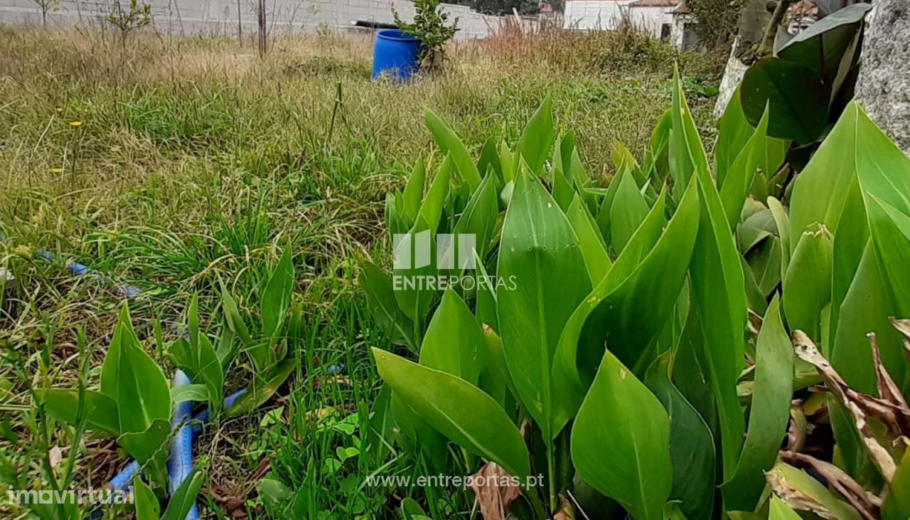 Venda de Lote em Canidelo, Vila do Conde - Grande imagem: 4/14