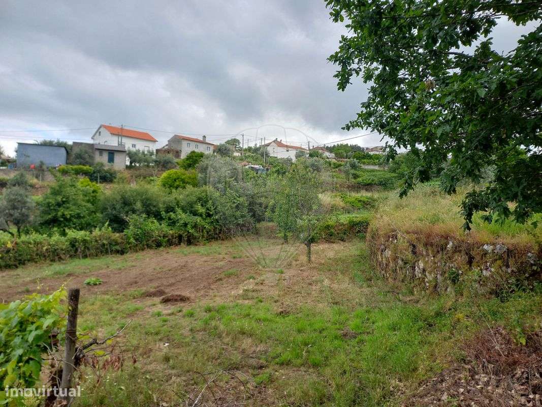 Quinta T0 para venda - Grande imagem: 5/12