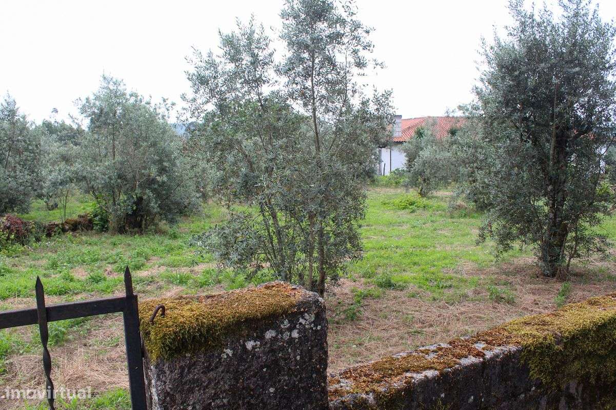 Terreno  para venda - Grande imagem: 5/11