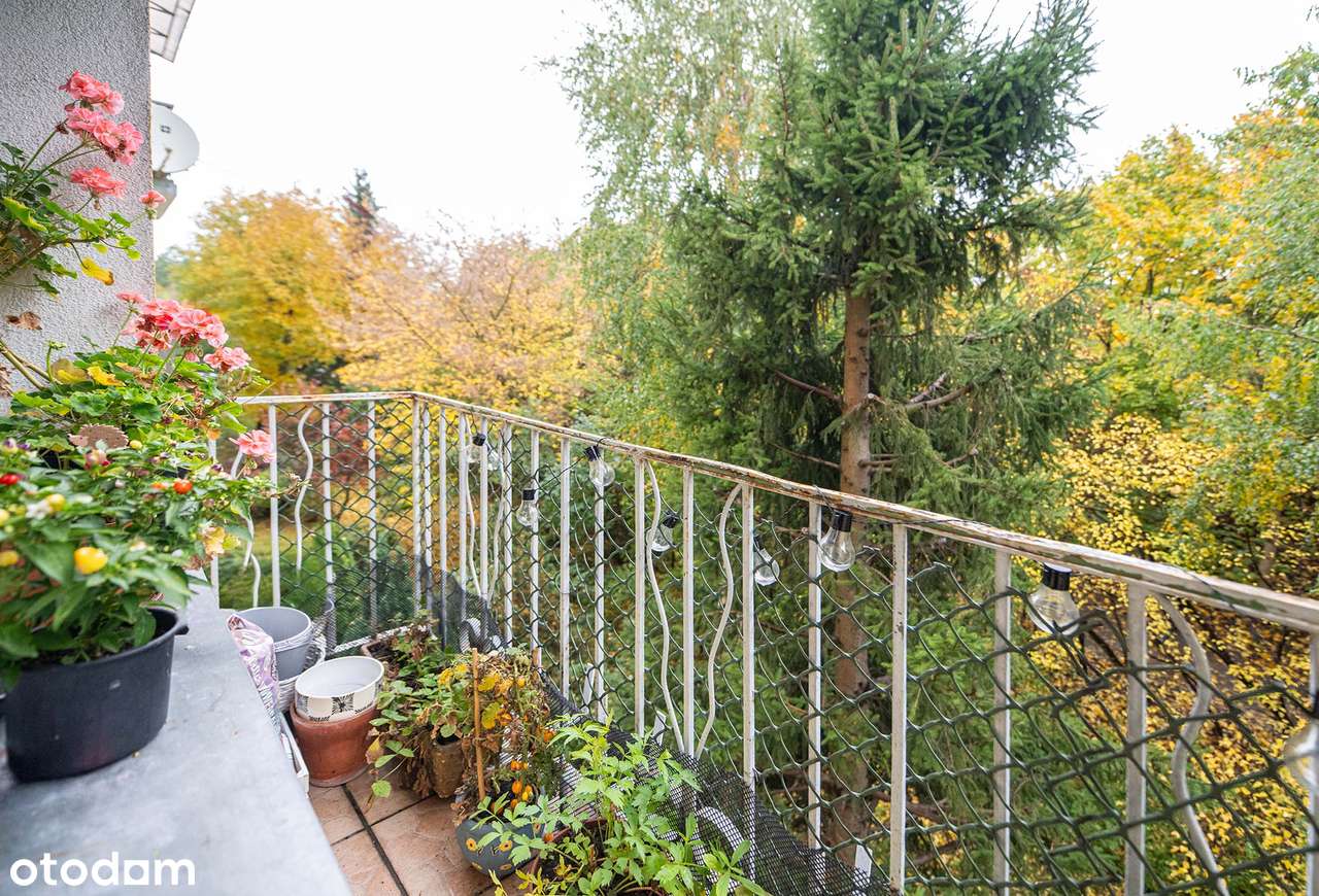 Rozkładowe 3 pokoje z balkonem na spokojnym osiedlu-II piętro!-5