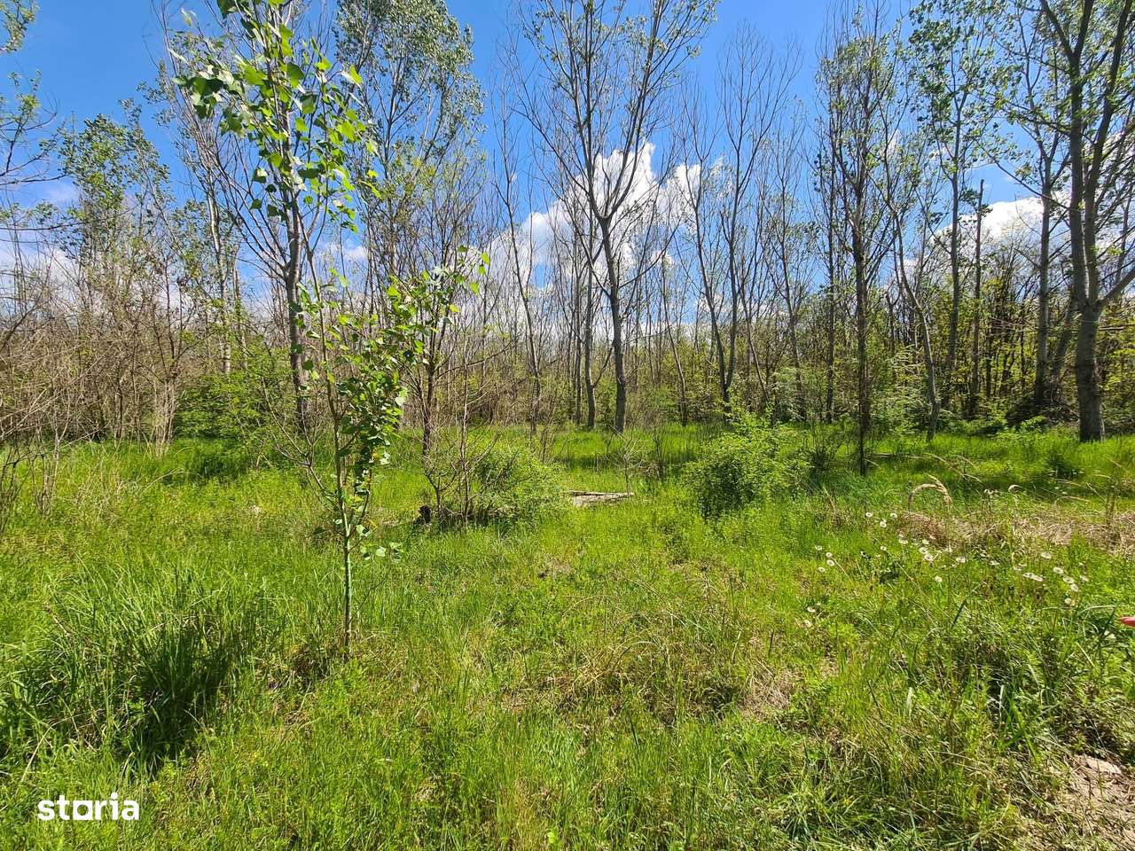 Teren de vanzare / Dem Radulescu-8