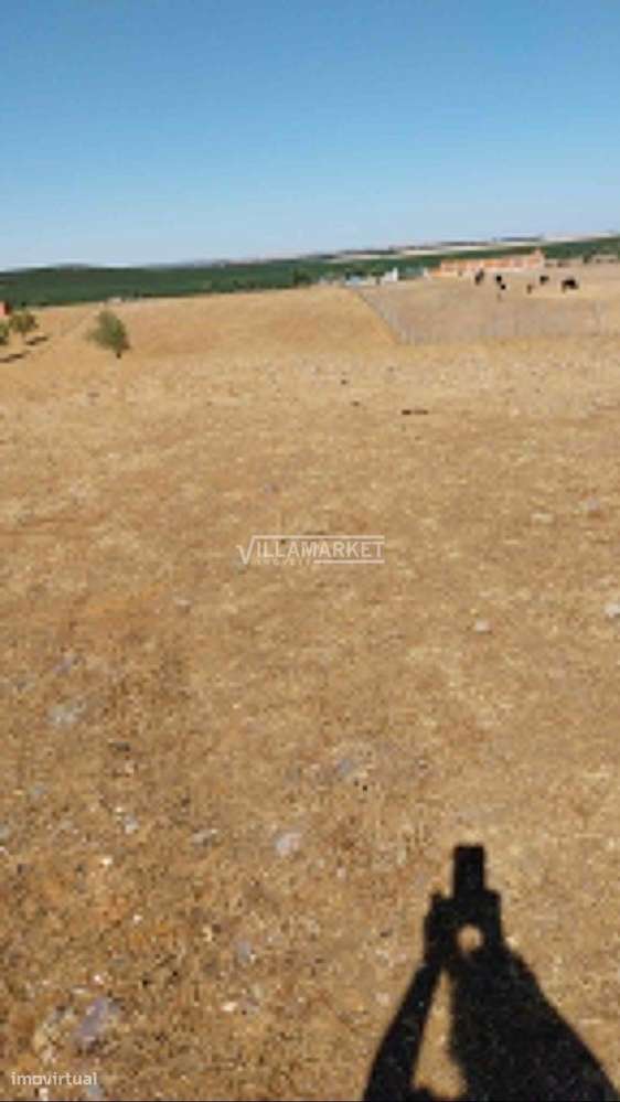 3 Lotes de terreno rústico confinantes, numa excelente localização, e - Grande imagem: 5/23