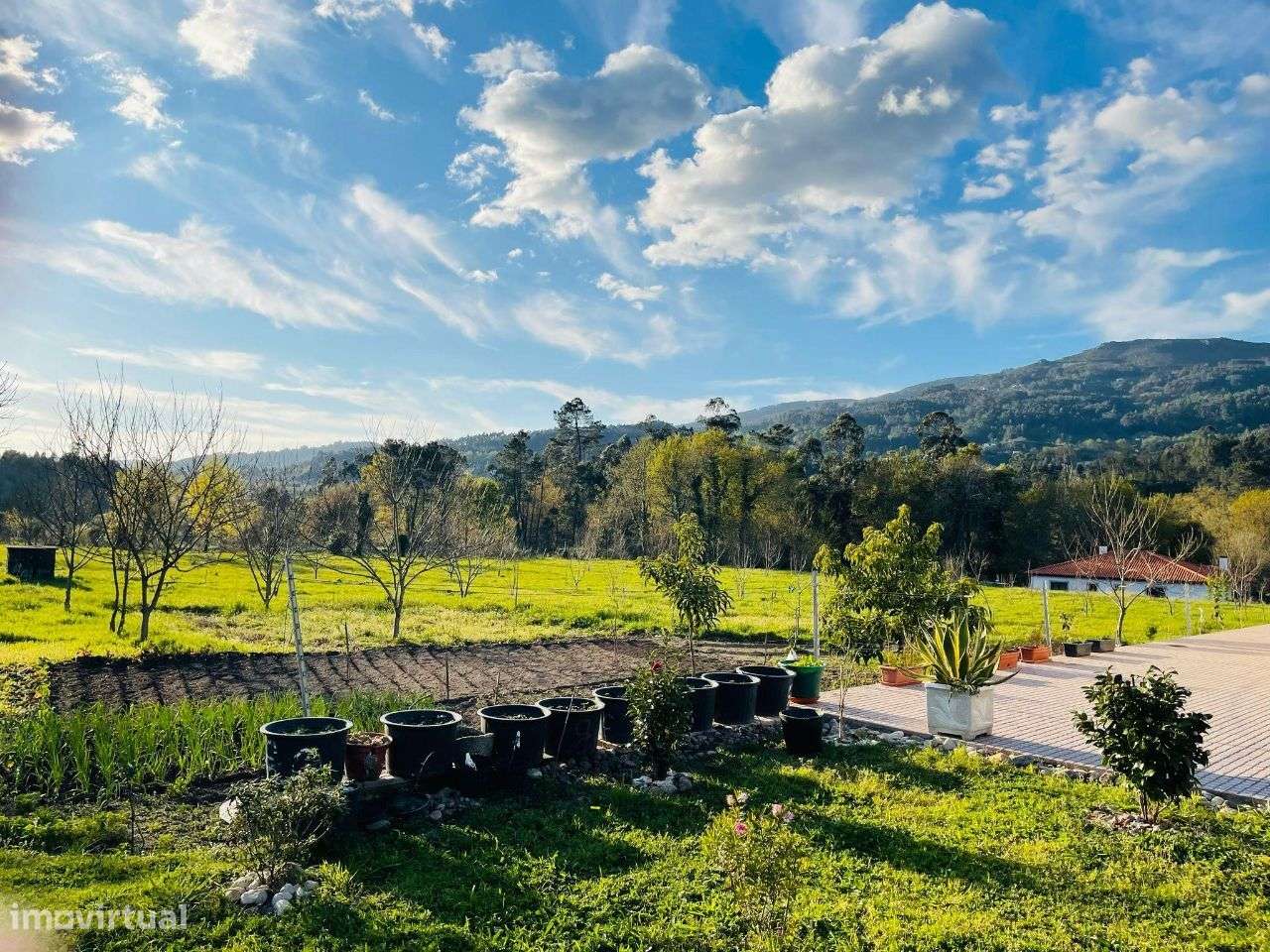 Moradia com 15.000m2 de terreno - Grande imagem: 5/22