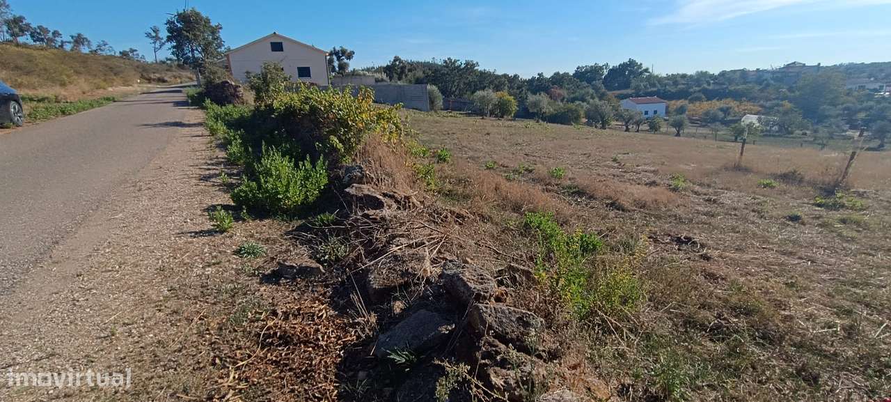 Terreno rústico com 3.700 m² – A 7 km de Tomar-14