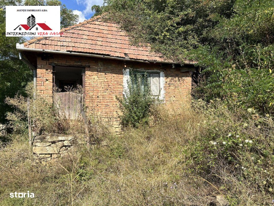 Casa, anexa,teren  65889 mp de vanzare Hategana- Vintu Jud Alba