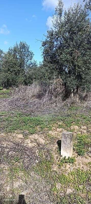 Terreno  para venda - Grande imagem: 3/3