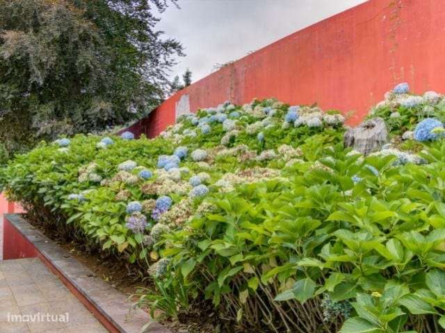 Quinta de Luxo com Duas Moradias e Vista Mar – Um Refúgio Exclusivo no-27