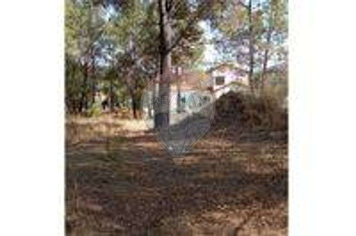 Terreno  para venda - Grande imagem: 4/6