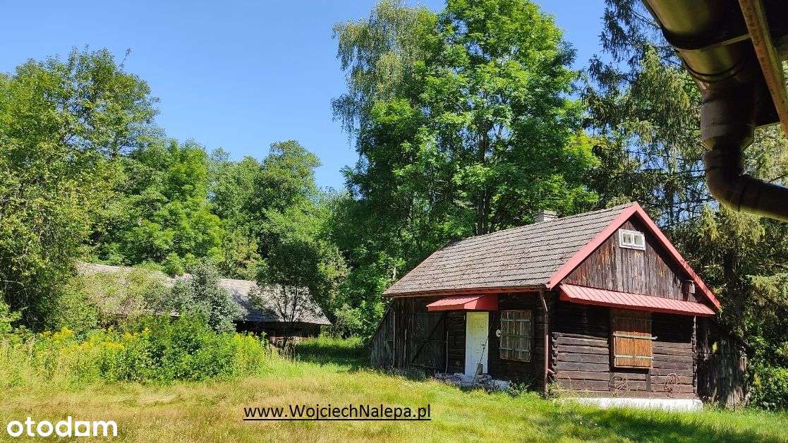 leśniczówka - środek puszczy w Lasach Janowskich - Pełny obrazek: 4/20