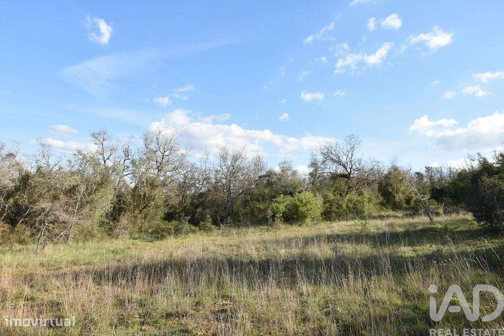 Terreno Agrícola em Chãos - Grande imagem: 3/36