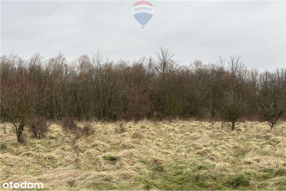 Działka Jankowice blisko mostu i drogi asfaltowej - Pełny obrazek: 5/12