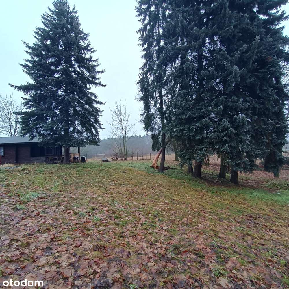 Domek rekreacyjny na dużej ogrodzonej działce blisko rzeki Warta - Pełny obrazek: 3/14