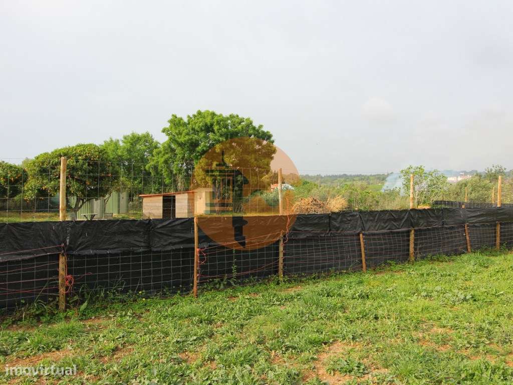 Terreno Rústico em Luz de Tavira - Grande imagem: 4/23
