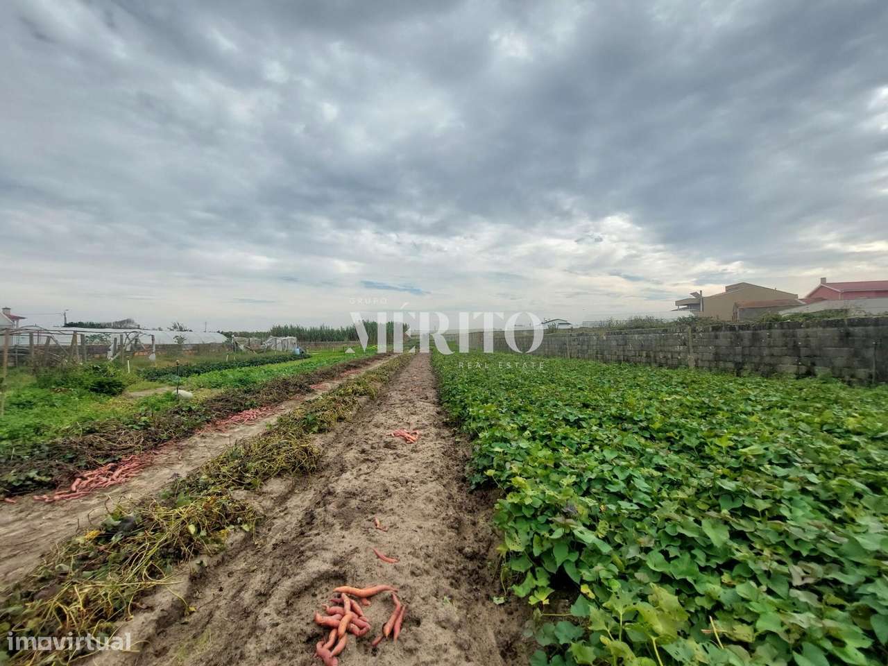 Moradia para Restauro na Aguçadoura, Póvoa de Varzim! - Grande imagem: 4/25