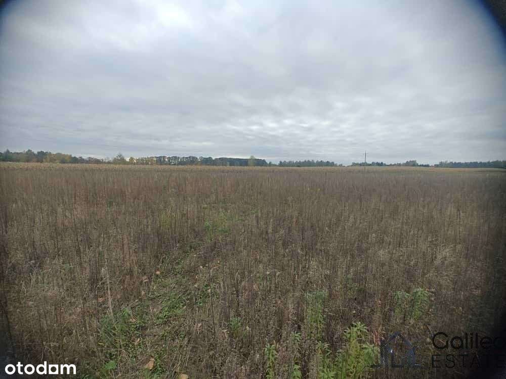 Działka budowlana 1800m2 z Mpzp Dobieszków-5