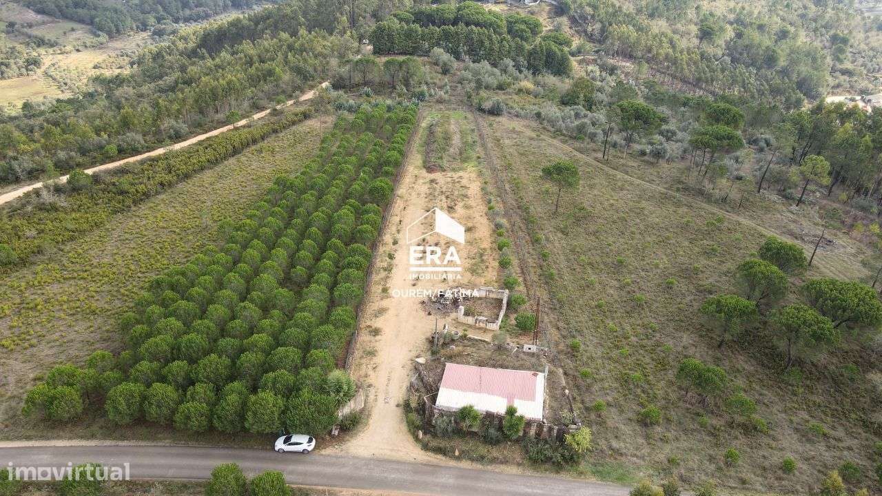 Terreno Rústico localizado no Olival, Ourém - Grande imagem: 2/28