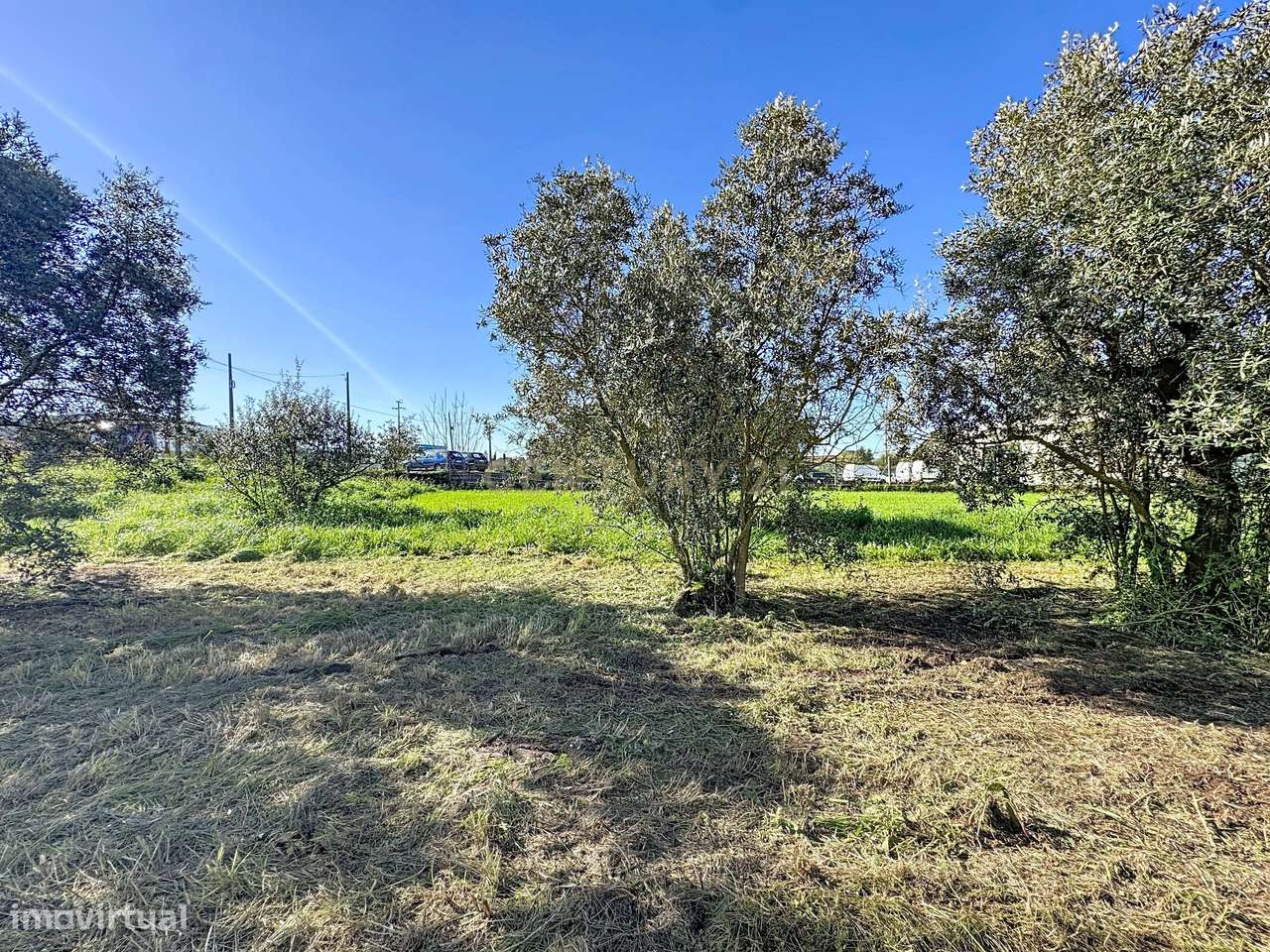 Terreno com Elevado Potencial Comercial na N1 – Moleanos, Alcobaça - Grande imagem: 5/17