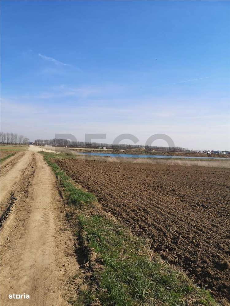 RECO Teren Santion - Imagine principală: 3/5