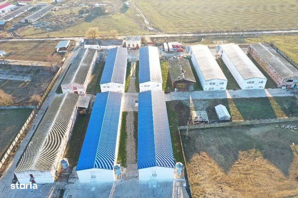 Hale de vanzare + balta de pescuit in Bihor-Nojorid-Les - Imagine principală: 5/12