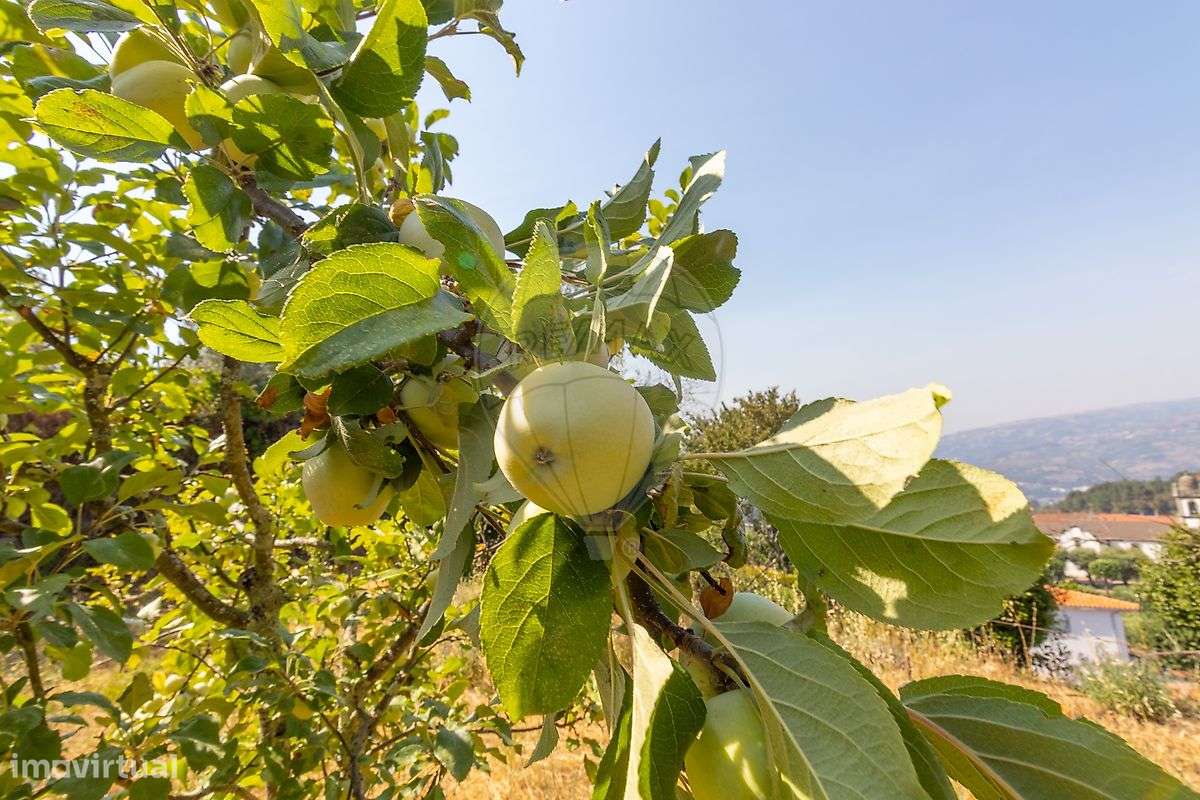 Moradia T4 para venda-22