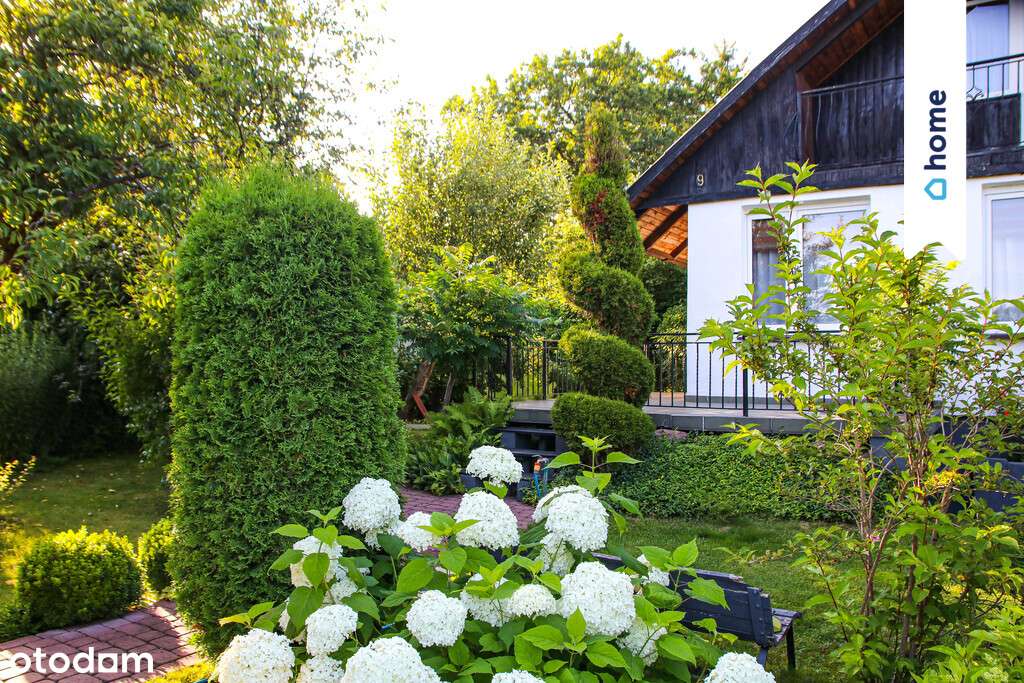 Domek ROD w Bożenkowie - domek 55m2 przy Brdzie! - Pełny obrazek: 4/13