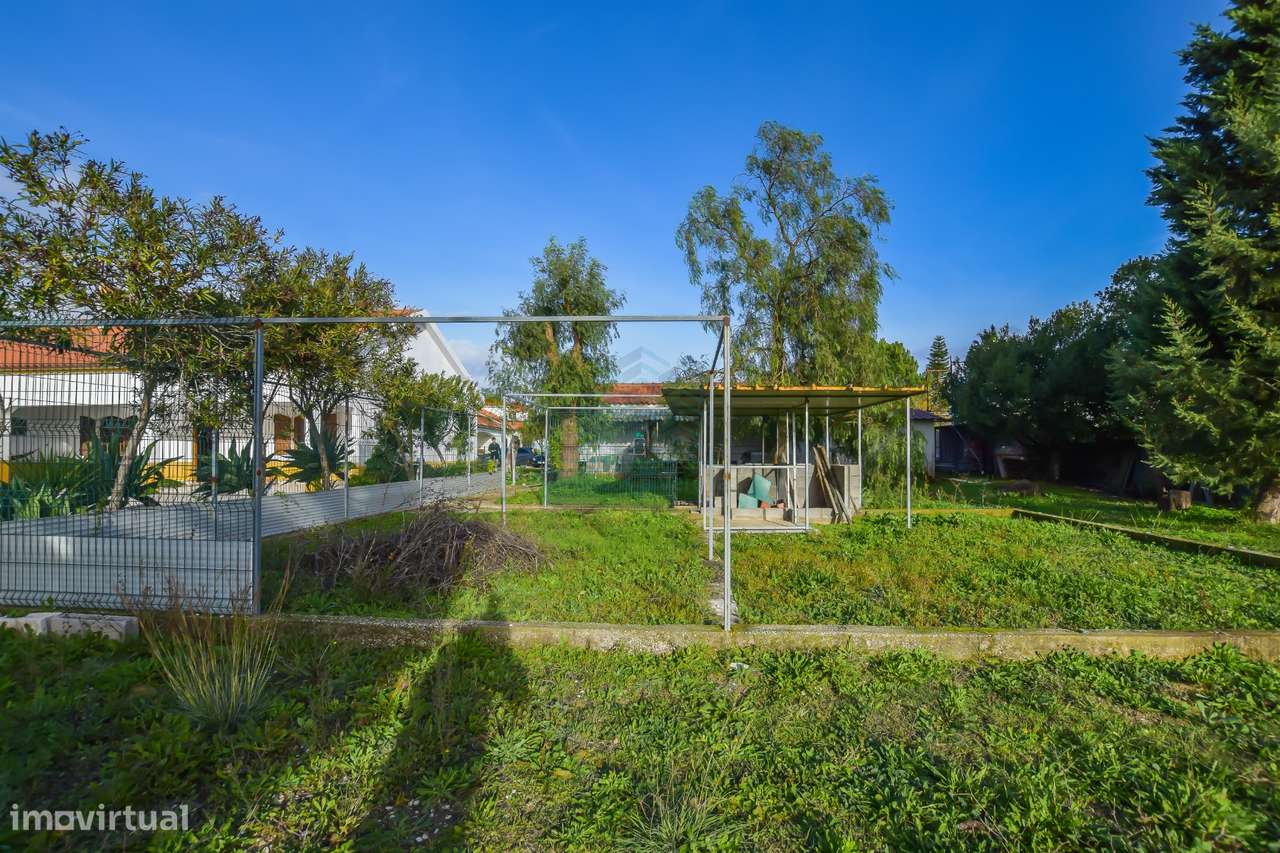 Moradia T3 em Carril - Torres Novas-11