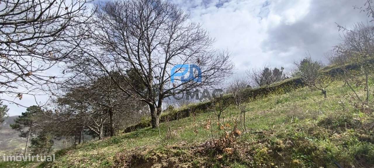 Terreno Urbanizável de 7959 m² com Armazém-29