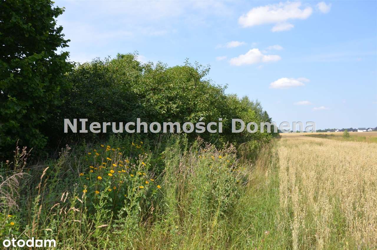 Działka na sprzedaż, Lubochnia-3