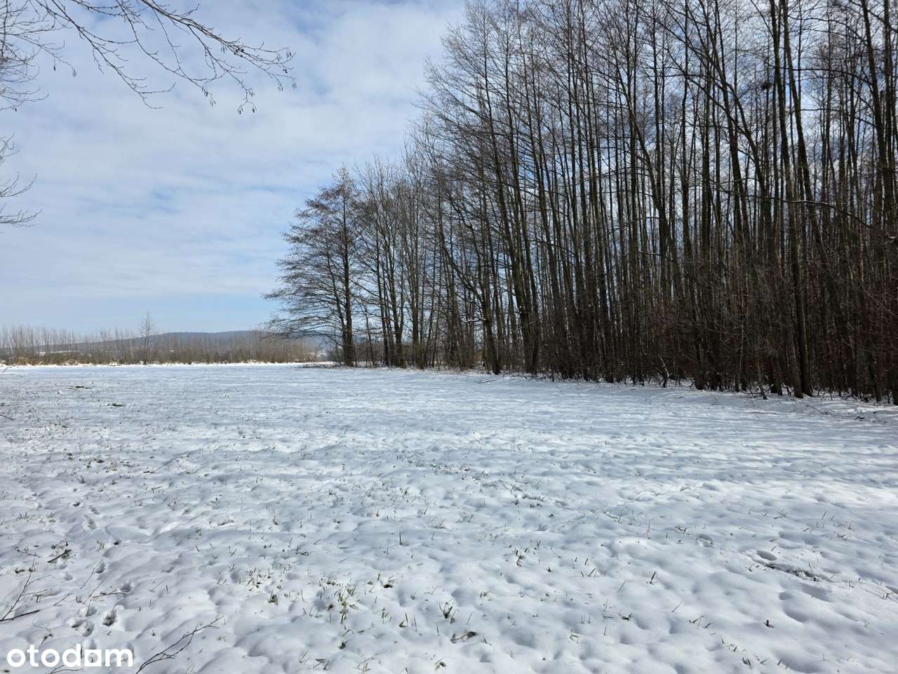Działka 19 arów – idealna na rekreację | Wójtowa-7