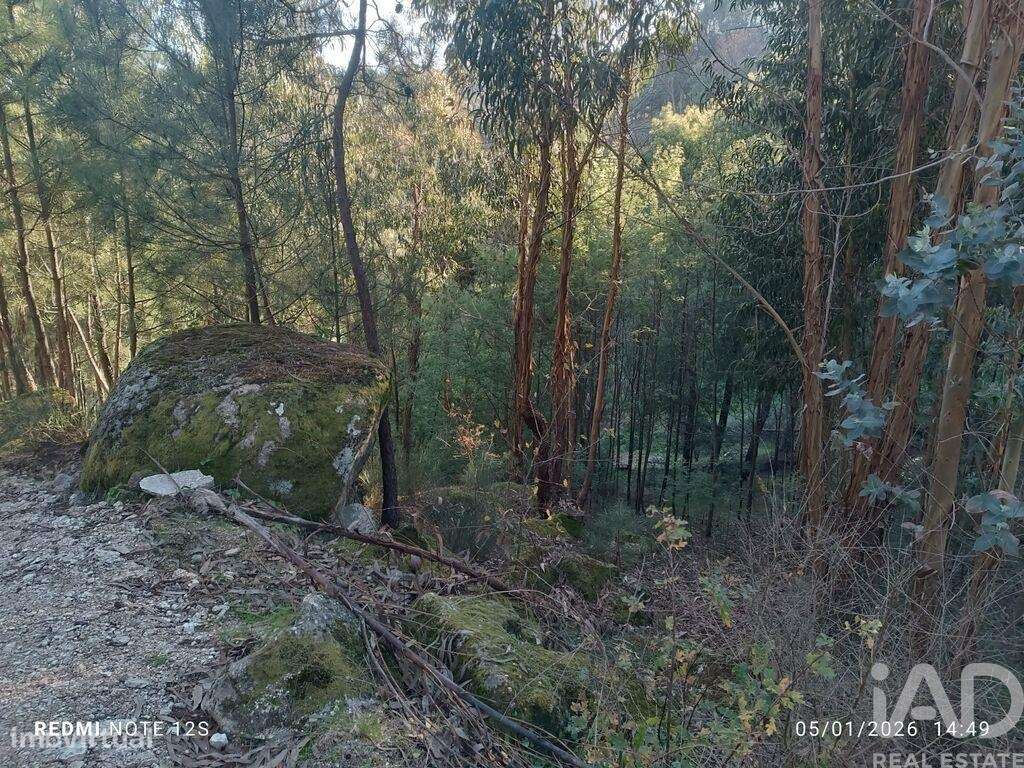 Terreno Agrícola em Paredes de Viadores e Manhuncelos - Grande imagem: 2/3