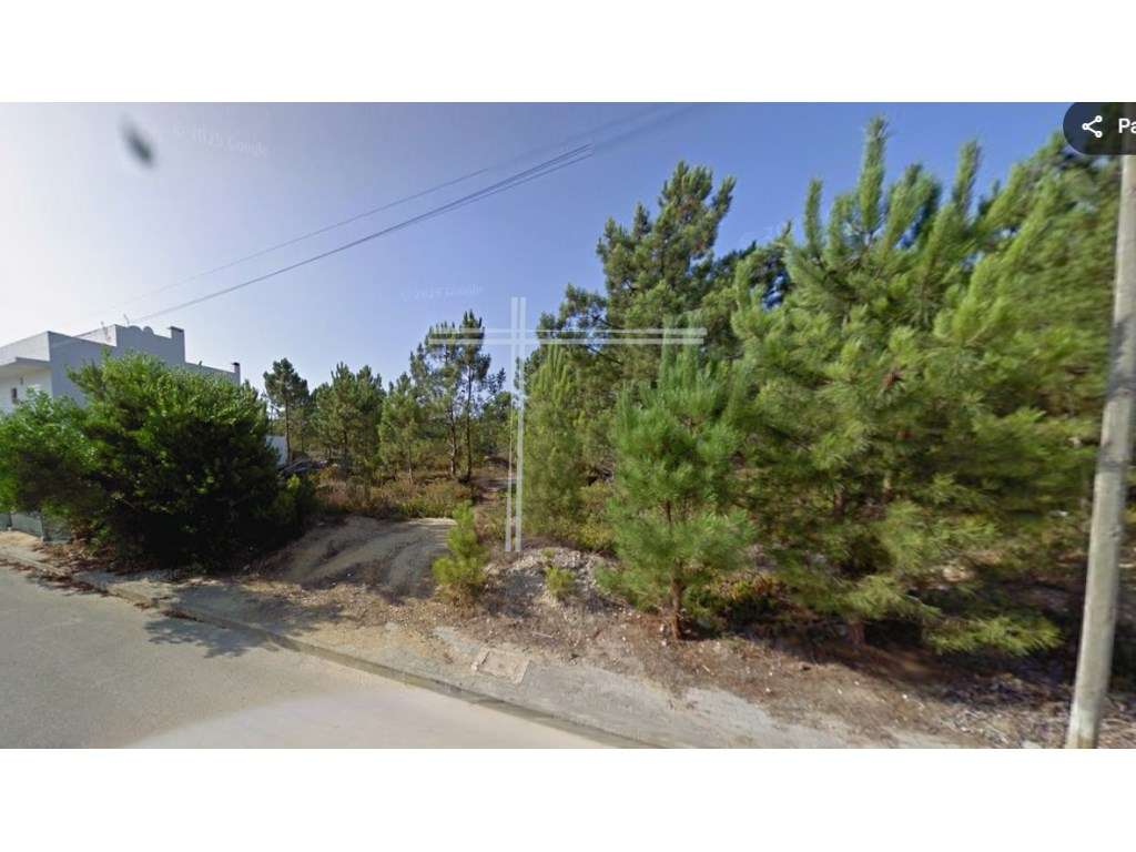 Terreno com 171m2 - Pinhal Conde da Cunha - Grande imagem: 4/8