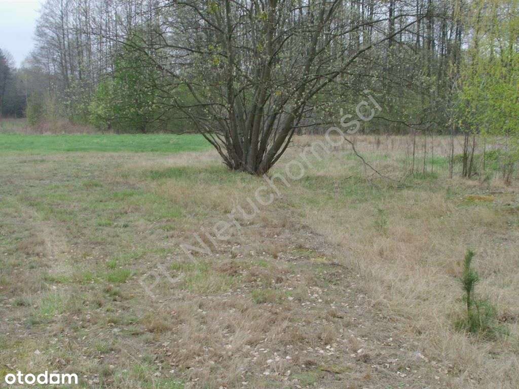 Teren pod osiedle, 104 lokale, media, asfalt - Pełny obrazek: 5/9