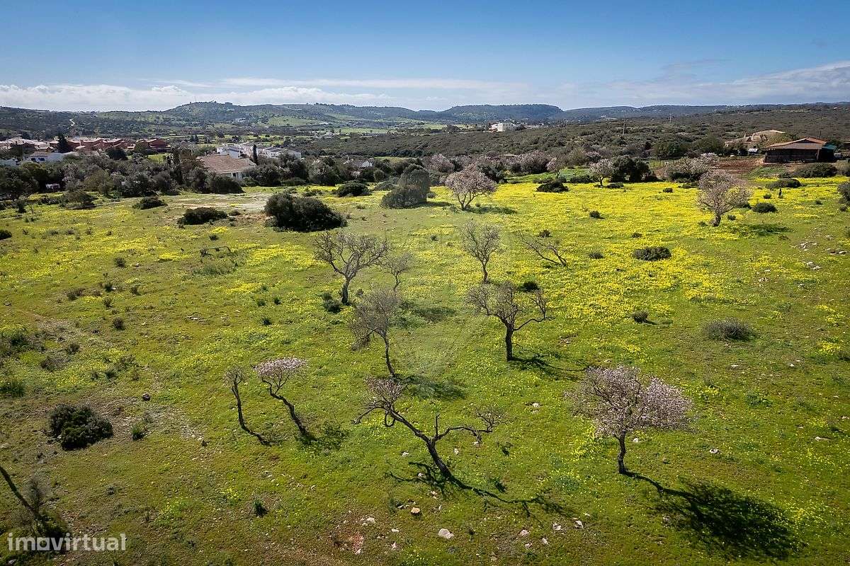 Terreno  para venda - Grande imagem: 3/10