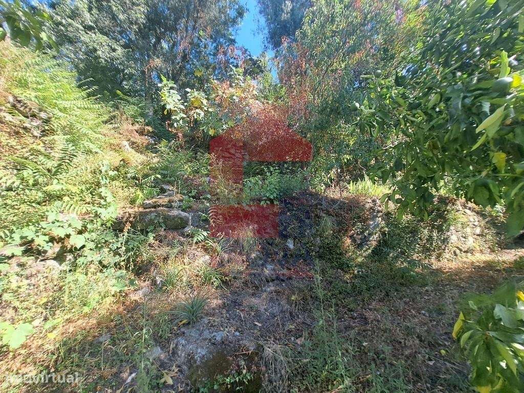 Moradia para restauro-7